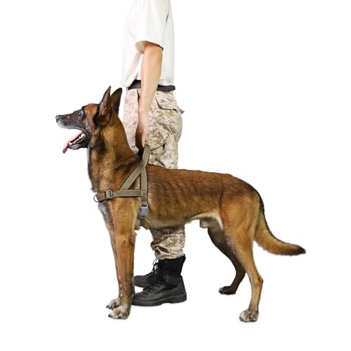 S-ETOVUS No Pull Hundegeschirr, Reflektierendes Welpengeschirr, ausbruchsicher/schnelle Passform, verstellbares Haustiergeschirr mit weich gepolstertem Griff, Metallring vorne und hinten, einfach für S-ETOVUS No Pull Hundegeschirr, Reflektierendes Welpengeschirr, ausbruchsicher/schnelle Passform, verstellbares Haustiergeschirr mit weich gepolstertem Griff, Metallring vorne und hinten, einfach für von S-ETOVUS