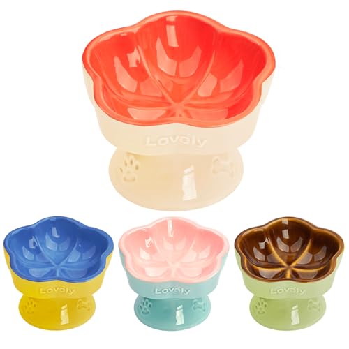 S&Q's CERAMICS Erhöhter Katzennapf, erhöhter Katzennapf für Futter und Wasser, Keramik-Titel, Anti-Erbrochenes und Schnurrhaar, mikrowellen- und spülmaschinenfest, Orange, 14,7 cm S&Q's CERAMICS Erhöhter Katzennapf, erhöhter Katzennapf für Futter und Wasser, Keramik-Titel, Anti-Erbrochenes und Schnurrhaar, mikrowellen- und spülmaschinenfest, Orange, 14,7 cm von S&Q'S CERAMICS