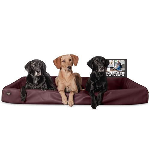 SABRO KUDDE Orthopädisches Hundebett – Martin Rütter – Hochwertiges Kunstleder – Waschbar & Wasserabweisend – Ergonomisch – Premium Haustierzubehör für Grosse Hunde XXL in Bordeaux von SABRO
