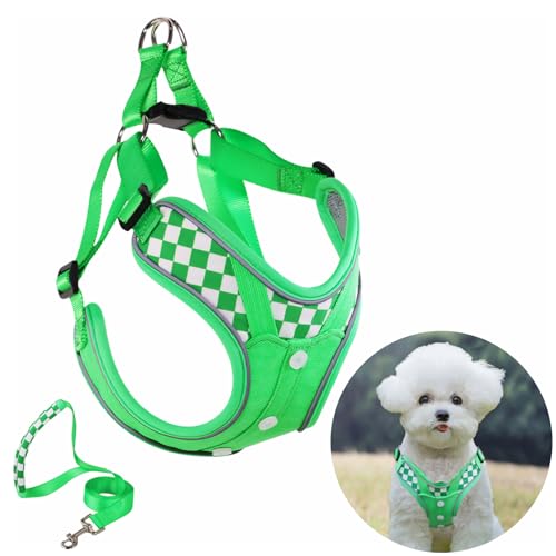 Hundegeschirr, Denim, mit Leine, verstellbar, atmungsaktiv, gepolstert, für kleine Hunde, Training und Laufen, Größe XS, Grün Hundegeschirr, Denim, mit Leine, verstellbar, atmungsaktiv, gepolstert, für kleine Hunde, Training und Laufen, Größe XS, Grün von SAEGYPET