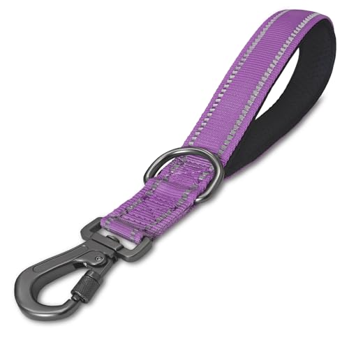 SAEGYPET Kurze Trainingsleine mit gepolstertem Griff für große Hunde, 30,5 cm, mit Karabinerhaken, starke Trainingsleine (lila, 30,5 cm) von SAEGYPET