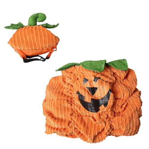 SAFIGLE Warmer Halloween Haustierkostüm Kürbis Design Karneval Verkleidung für Kleine Mittelgroße Haustiere Festliche Pet Kleidung für Halloween Party und Festival von SAFIGLE