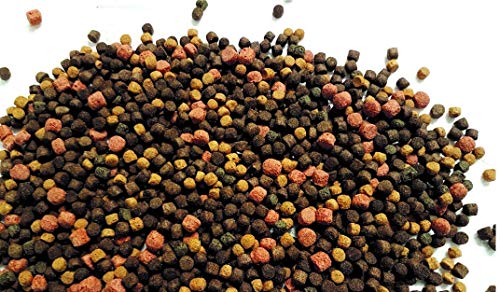 Koifutter SAHAWA Premium Mix 3 Farben 6mm rot/braun/gelb 5l Eimer = 1800 g + 1 Muschelblume ca. 10x 15 cm Teichpflanze von SAHAWA