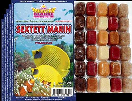 Frostfutter SAHAWA 150 Portionen Fischfutter 5X 100g Blister Sextett Marin für Meerwasser Aquarium von SAHAWA