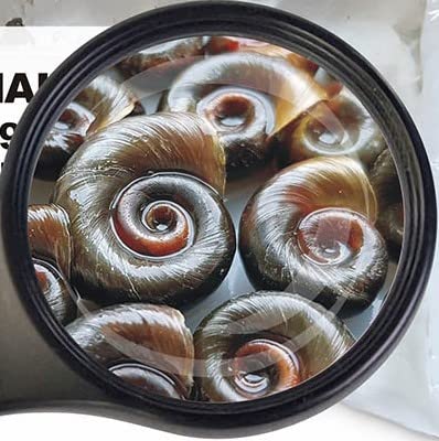 Lebendfutter SAHAWA Posthornschnecken mittel Fischfutter 5 x 90ml Futterschnecken Lebendfutter SAHAWA Posthornschnecken mittel Fischfutter 5 x 90ml Futterschnecken von SAHAWA