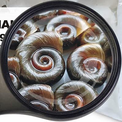 Lebendfutter SAHAWA Posthornschnecken mittel Fischfutter 5 x 90ml Futterschnecken von Sahawa