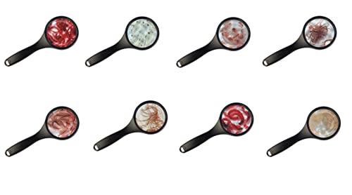 Fischfutter SAHAWA Lebendfutter 10x45 ml Paket FREIE Auswahl nach Kauf per Mail Fischfutter SAHAWA Lebendfutter 10x45 ml Paket FREIE Auswahl nach Kauf per Mail von Sahawa
