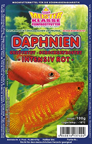 Frostfutter Daphnien intensiv ROT =Wasserflöhe 10 x 100g Blister Fischfutter verpackt mit Trockeneis -78°C, Aquarium, Aquaristik, Fischfutter, Frostfutter von Sahawa