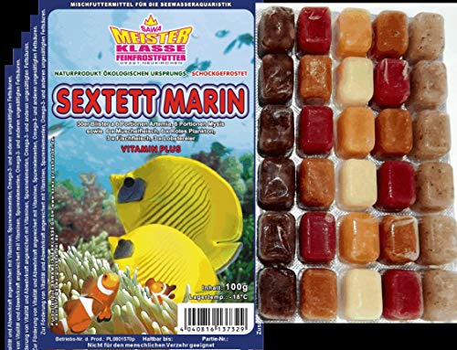 Frostfutter Meerwasser 10 x 100g Blister Sextett Marin Fischfutter von Sahawa