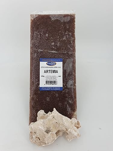 Frostfutter für Zierfische 1 STK. große 500g Tafel Verschiedene Sorten Freie Auswahl Versand mit Trockeneis (Artemia, 500 g Tafel) von Sahawa