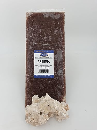 Frostfutter für Zierfische 1 STK. große 500g Tafel Verschiedene Sorten Freie Auswahl Versand mit Trockeneis (Artemia, 500 g Tafel) von SAHAWA