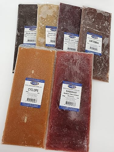 Frostfutter für Zierfische 3 x große 500g Tafel Verschiedene Sorten Freie Auswahl Versand mit Trockeneis von SAHAWA