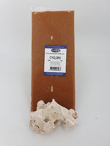Frostfutter für Zierfische große 500g Tafel verschiedene Sorten Freie Auswahl (Cyclops, 500g Tafel) von SAHAWA