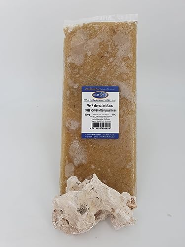 Frostfutter für Zierfische große 500g Tafel verschiedene Sorten Freie Auswahl (Weiße Mückenlarven, 500g Tafel) von SAHAWA