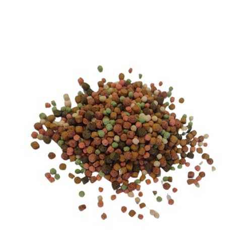 Koi-Goldfisch-Multimix, Sommerfutter für Gartenteichfische, im Set mit Futterschaufel und getrockneten Mehlwürmern, Fischfutter für Teichfische (10 l Kombipack) von SAHAWA