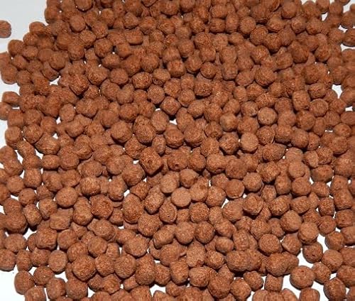 Koifutter Fischfutter Teichfutter schwimmend Verschiedene Sorten 5 Kg Beutel (Koi 6mm rot 5 Kg) von SAHAWA