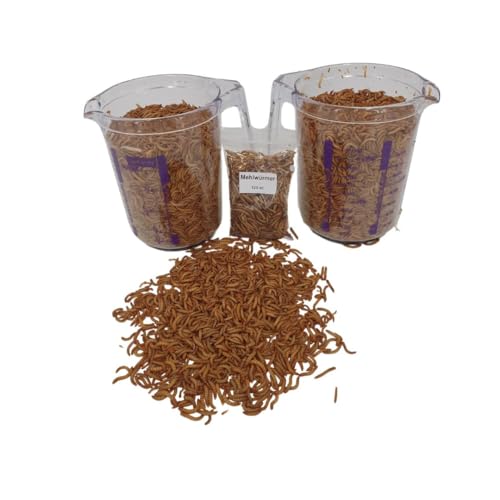 Lebende Mehlwürmer – Hochwertiges Protein-Futter für Igel, Reptilien, Hühner und Vögel – Literware für gesunde Ernährung und natürliches Fressverhalten! + 125 ml getrocknete Mehlwürmer (2 x 1 Liter) Lebende Mehlwürmer – Hochwertiges Protein-Futter für Igel, Reptilien, Hühner und Vögel – Literware für gesunde Ernährung und natürliches Fressverhalten! + 125 ml getrocknete Mehlwürmer (2 x 1 Liter) von SAHAWA