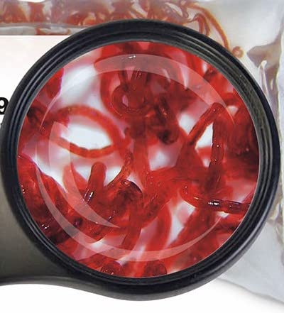 Lebendfutter SAHAWA Fischfutter Verschiedene Sorten zur Auswahl 45ml oder 90 ml (Rote Mückenlarven 45 ml) von SAHAWA