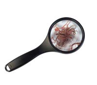 Lebendfutter SAHAWA Fischfutter Verschiedene Sorten zur Auswahl 45ml oder 90 ml (Tubifex 90 ml) von SAHAWA