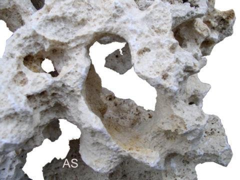 SAHAWA Lochgestein :Asiatisches weißes Premium Lochgestein M von SAHAWA