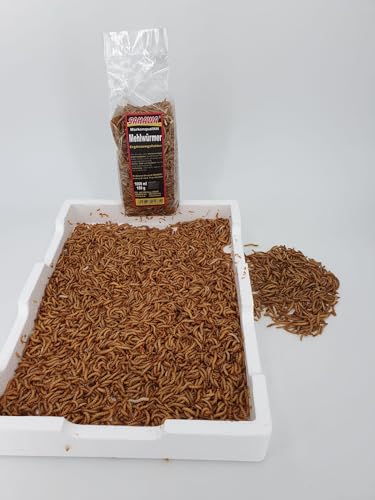 Mehlwürmer SAHAWA Kombipackung 1000g Lebendfutter und 180g getrocknetes Futter Igel Vögel Reptilien von SAHAWA