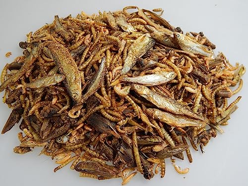 Reptilien- Futter 6 Sorten Mix Trockenfutter Schildkrötenfutter Reptilien Mix (1000 g) von SAHAWA