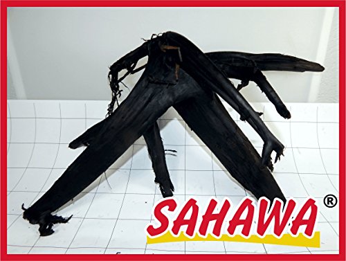 SAHAWA® Moorwurzel Größe 2 25-30 cm, Moorkienwurzel,rote Moorwurzel, Moorkienholz, Garnelenbaum von SAHAWA