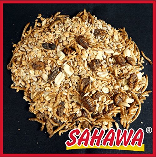 SAHAWA Premium Meisen Futter 3 L Beutel, Wintervogelfutter, Meisen, Fettfutter, Streufutter, Körnerfutter, Waldvogelfutter von SAHAWA