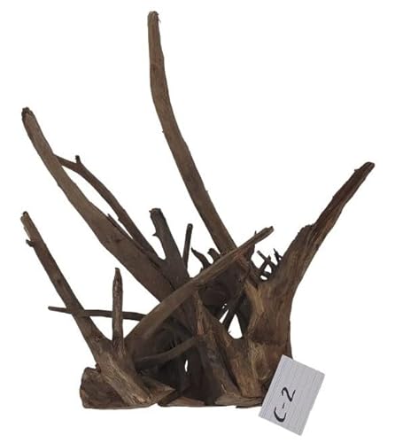 SAHAWA Corbowurzel Deko für Aquarium Mangrovenwurzel Moorwurzel Aquariendeko Einzelstücke wählen Sie Ihre Traumwurzel 100% Naturprodukte (Corbo Nr. 2) von SAHAWA