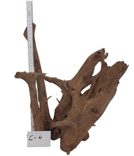 SAHAWA Corbowurzel Deko für Aquarium Mangrovenwurzel Moorwurzel Aquariendeko Einzelstücke wählen Sie Ihre Traumwurzel 100% Naturprodukte (Corbo Nr. 4) von SAHAWA