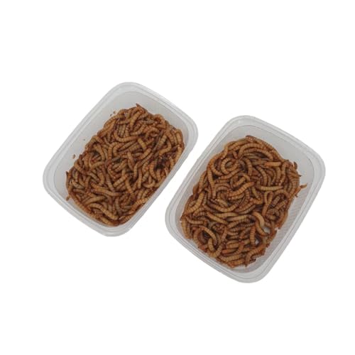 Lebende Mehlwürmer – Hochwertiges Protein-Futter für Igel, Reptilien, Hühner und Vögel – Literware für gesunde Ernährung und natürliches Fressverhalten! 250 ml lebend + 125 ml getrocknete Mehlwürmer von SAHAWA