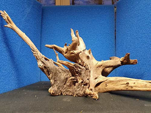 Sahawa Mangroven Corbo Wurzel 20x30x40 cm für Aquarien Terrarien und Deko von Sahawa