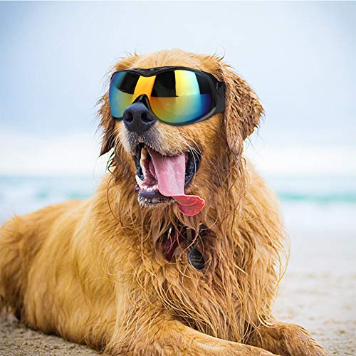 SALALIS Anti UV Wasserdicht Winddicht Hundebrille Einstellbar Hunde Sonnenbrille Schutzbrille Geeignet für Hunde mittlerer und großer Rasse (Schwarz) von SALALIS