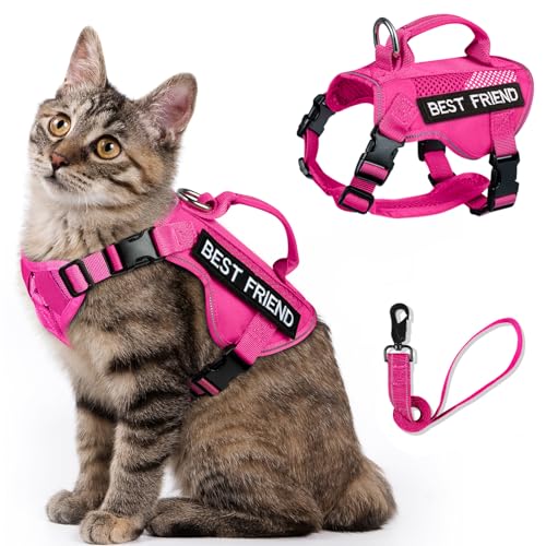 SALFSE Großes taktisches Katzengeschirr mit Leine, Air-Mesh, ausbruchsicher mit Griff, reflektierend (APink, XL) von SALFSE