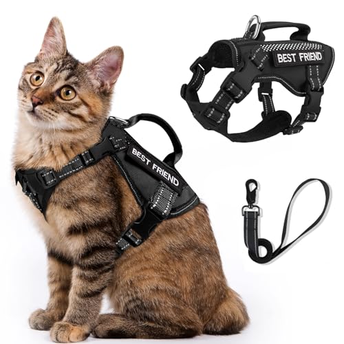 SALFSE Großes taktisches Katzengeschirr mit Leine, Air-Mesh, ausbruchsicher mit Griff, reflektierend (ASchwarz, L) von SALFSE