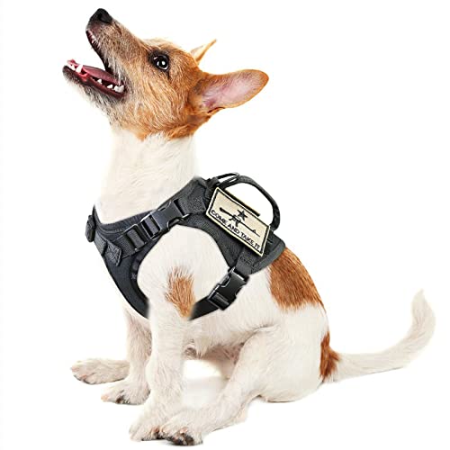 Taktisches Welpengeschirr, verstellbare Militärwesten für kleine Hunde, Outdoor-Training, Welpengeschirr mit Griff Taktisches Welpengeschirr, verstellbare Militärwesten für kleine Hunde, Outdoor-Training, Welpengeschirr mit Griff von SALFSE
