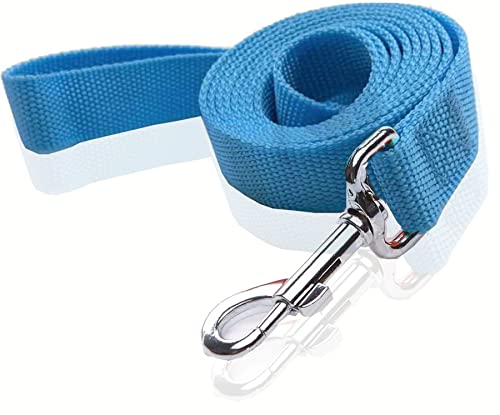 Nylon-Hundeleine, 1,2 m, 1,5 m, 1,8 m lang, für mittelgroße und große Hunde, 2,5 cm breit, 1,6 m x 1,8 m, Blau Nylon-Hundeleine, 1,2 m, 1,5 m, 1,8 m lang, für mittelgroße und große Hunde, 2,5 cm breit, 1,6 m x 1,8 m, Blau von SALO