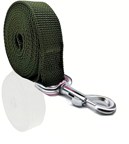 Nylon-Hundeleine, 1,2 m, 1,5 m, 1,8 m lang, für mittelgroße und große Hunde, 2,5 cm breit, 1,6 m x 1,8 m, Grün von SALO