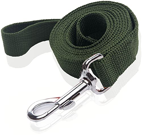 Nylon-Hundeleine, 1,2 m, 1,5 m, 1,8 m lang, für mittelgroße und große Hunde, 2,5 cm breit, 1,9 cm x 1,8 m, Grün Nylon-Hundeleine, 1,2 m, 1,5 m, 1,8 m lang, für mittelgroße und große Hunde, 2,5 cm breit, 1,9 cm x 1,8 m, Grün von SALO