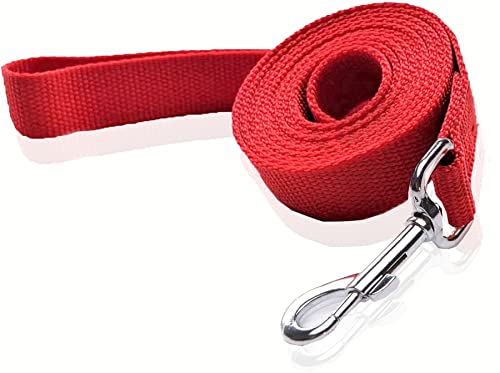 Nylon-Hundeleine, 1,2 m, 1,5 m, 1,8 m lang, für mittelgroße und große Hunde, 2,5 cm breit, 1,9 cm x 1,8 m, Rot Nylon-Hundeleine, 1,2 m, 1,5 m, 1,8 m lang, für mittelgroße und große Hunde, 2,5 cm breit, 1,9 cm x 1,8 m, Rot von SALO