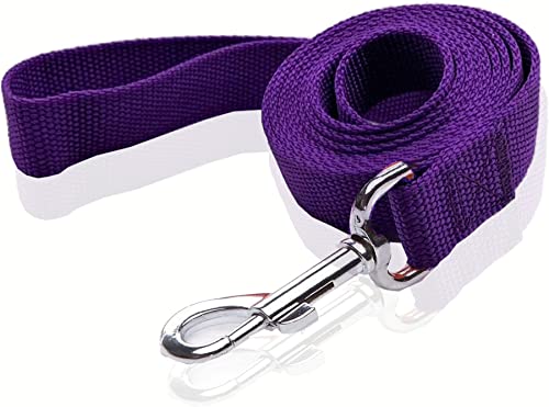 Nylon-Hundeleine, 1,2 m, 1,5 m lang, für mittelgroße und große Hunde, 2,5 cm breit, 1,2 m, Violett Nylon-Hundeleine, 1,2 m, 1,5 m lang, für mittelgroße und große Hunde, 2,5 cm breit, 1,2 m, Violett von SALO
