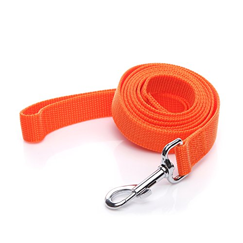 Nylon-Hundeleine, 1,5 m, 1,5 m lang, für mittelgroße und große Hunde, 2,5 cm breit, 1,5 m, Orange Nylon-Hundeleine, 1,5 m, 1,5 m lang, für mittelgroße und große Hunde, 2,5 cm breit, 1,5 m, Orange von SALO
