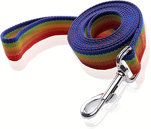Nylon-Hundeleine, 1,5 m, 1,5 m lang, für mittelgroße und große Hunde, 2,5 cm breit (2,5 cm x 1,5 m, Regenbogen) von SALO