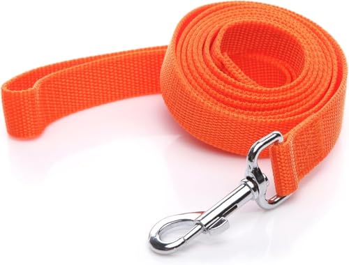 Nylon-Hundeleine, 2,4 m lang, für mittelgroße und große Hunde Nylon-Hundeleine, 2,4 m lang, für mittelgroße und große Hunde von SALO