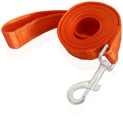 SALO Hundeleine, 2,4 m, 3,6 m, 4,6 m lang, reflektierend, für kleine und mittelgroße Hunde SALO Hundeleine, 2,4 m, 3,6 m, 4,6 m lang, reflektierend, für kleine und mittelgroße Hunde von SALO