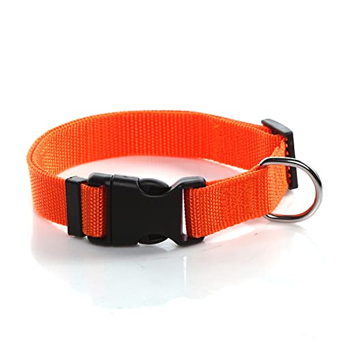 SALO Nylon-Hundehalsband, verstellbar, für mittelgroße und große Hunde, 1,6 cm breit von SALO