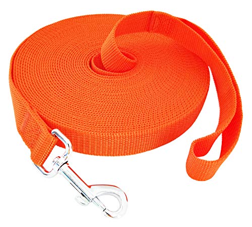 SALO Nylon-Trainingsleine für kleine, mittelgroße und große Hunde, 1,9 cm breit, 6,1 m, 9,1 m, 12,2 m, 15,2 m lang, für Gehorsamkeitstraining, Camping oder Garten SALO Nylon-Trainingsleine für kleine, mittelgroße und große Hunde, 1,9 cm breit, 6,1 m, 9,1 m, 12,2 m, 15,2 m lang, für Gehorsamkeitstraining, Camping oder Garten von SALO