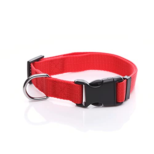 SALO Strapazierfähiges Nylon-Hundehalsband, verstellbares Hundehalsband für mittelgroße und große Hunde, 2,5 cm breit (1,9 cm x 35,6–53,3 cm, Rot) von SALO