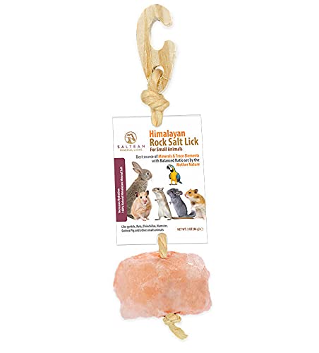 SALTEAN Himalaya-Steinsalz-Lecken für Samll Tiere/Haustier-Lecks, hängend, Himalaya-Steinsalz, 86 g | Salt Range Pakistan von SALTEAN