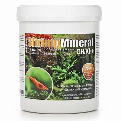 SaltyShrimp Shrimp Mineral GH/KH+ | 750g – Mineralsalz. Speziell für Haltung & Zucht von Garnelen entwickelt. Für neutrales Aquariumwasser & Remineralisierung SaltyShrimp Shrimp Mineral GH/KH+ | 750g – Mineralsalz. Speziell für Haltung & Zucht von Garnelen entwickelt. Für neutrales Aquariumwasser & Remineralisierung von SALTYSHRIMP